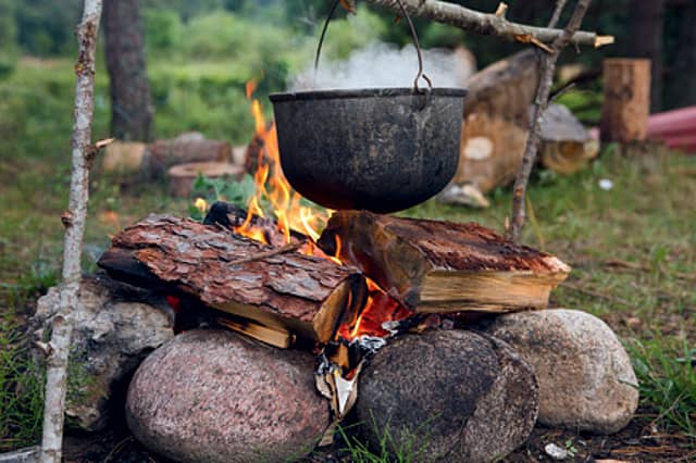 The Raw and the Cooked