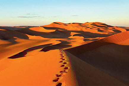 First Step out of Africa First Step out of Africa