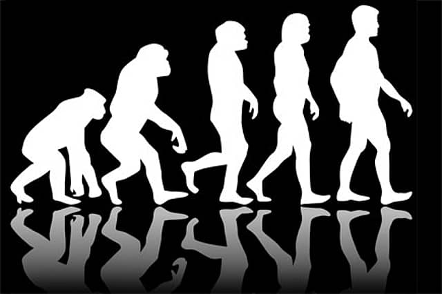 Evolution of Species
