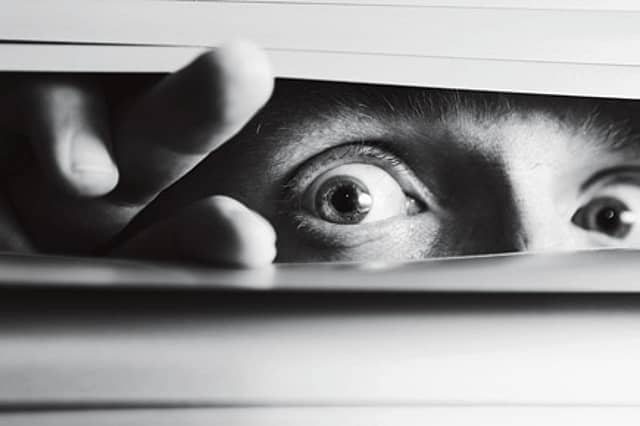 Expressions and Evolution