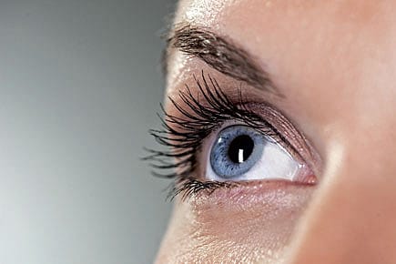 How Old Is Fairness? How Old Is Fairness?