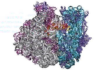 Chemical Basis of Life