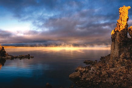 A New Kind of Life A New Kind of Life