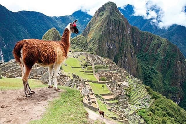 An Empire Built on Llama Dung