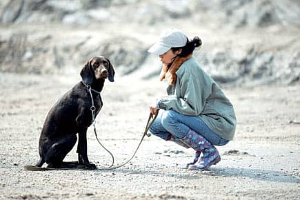 His Master’s Voice
