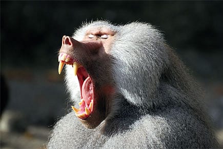 The Healing Power of Status