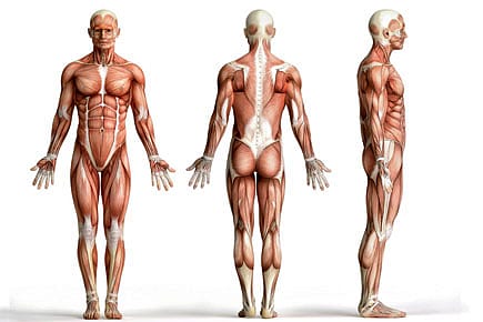 Complexity by Subtraction Complexity by Subtraction