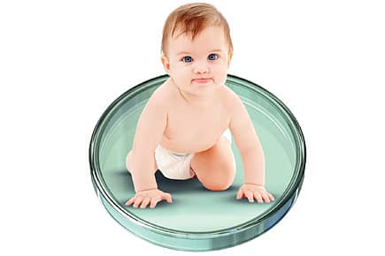 Nobel Merit in IVF