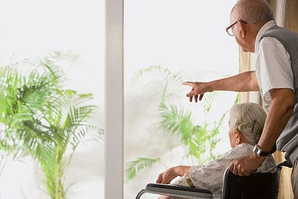 Can Clay Rebuild Your Bones?