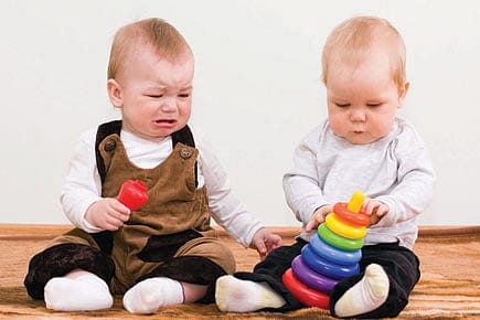 Is the Idea of Ownership Innate?