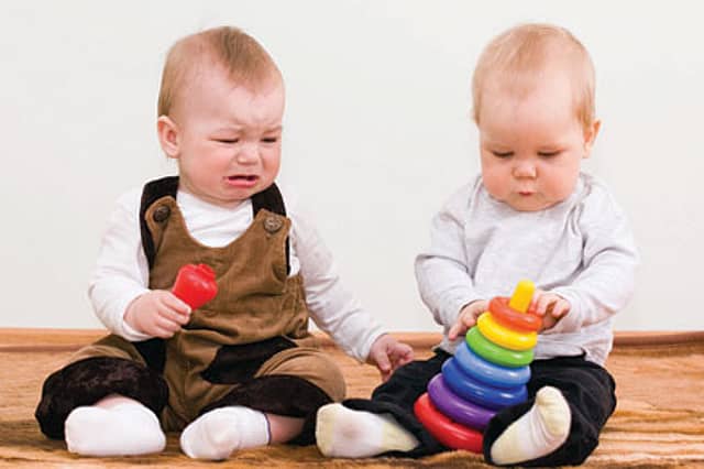 Is the Idea of Ownership Innate?