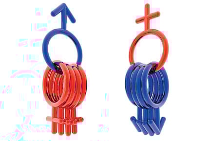 Humans Only Mildly Polygamous