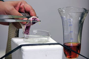 Physics of Snake Venom