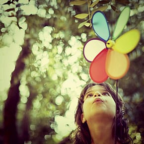 The Evolution of Primate Vision