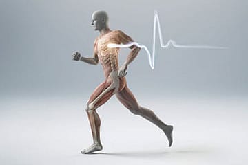 Mending Broken Hearts