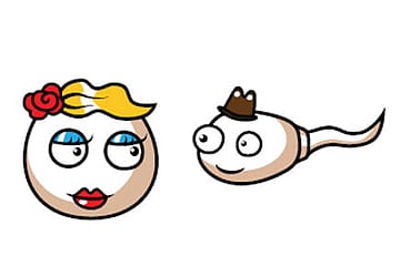 Learning Not to Settle