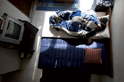 In Pursuit of a Mate