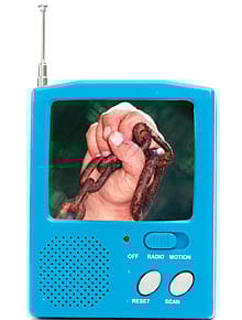 Nothing to Lose But Your...