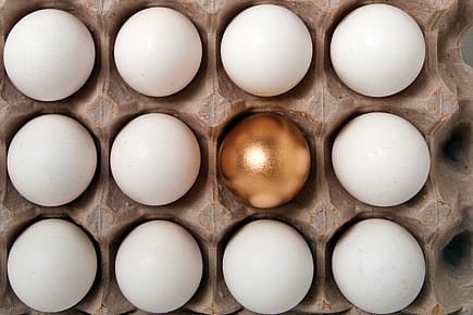 How ICC Killed the World T20 Hen