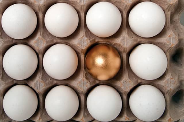 How ICC Killed the World T20 Hen