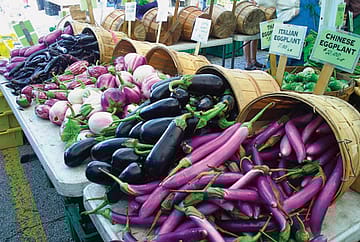 Waiter! There’s a Gene in My Bharta