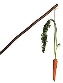 The Caste Buster Card The Caste Buster Card