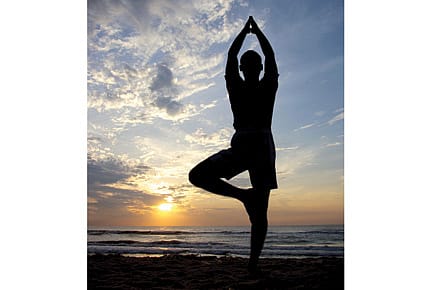 In Chandigarh, Climb a Tree to Find Peace