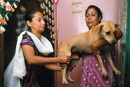 Not Just Another Rape Story