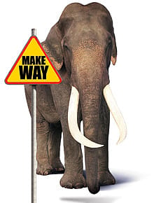 Elephant Passes