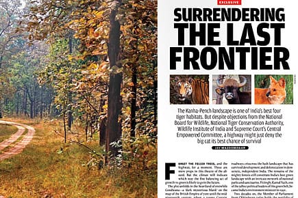 How The Tiger May Get Another Chance