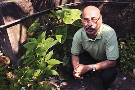 Green Party in Red Bastion