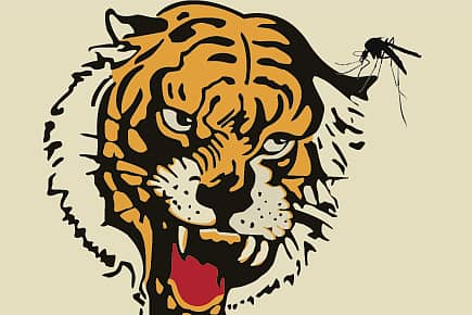 The Unified Thackeray Theory of Malaria