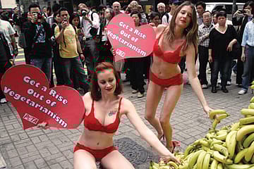 Someone Save My Chicken Tikka