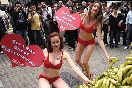 Someone Save My Chicken Tikka