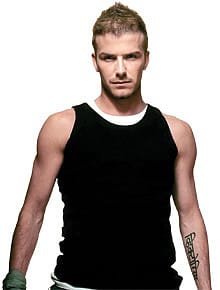 Torn Tendon, Shattered Dream