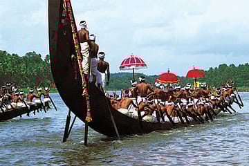 Race to the Olympics