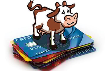 Farmville Debt Crisis