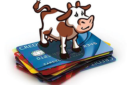 Farmville Debt Crisis