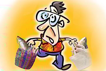 The Vegetarian Bullies of Mumbai