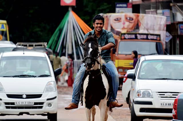 Horses for Courses... Literally