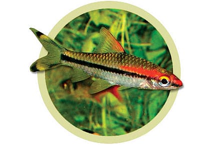 Missing Miss Kerala Missing Miss Kerala