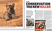 Centre Orders DNA Tests for Tigers