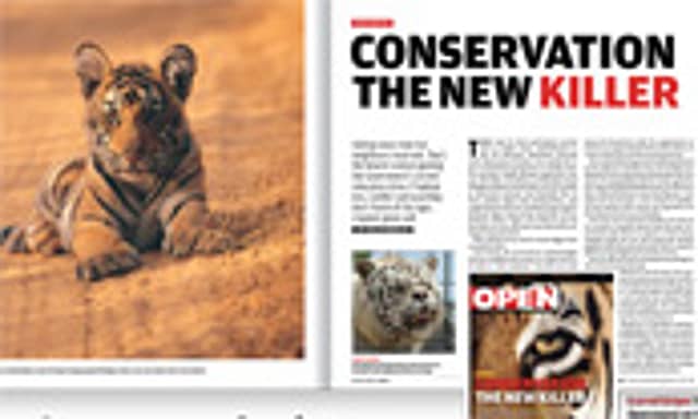 Centre Orders DNA Tests for Tigers