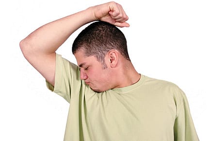 Scent of a Terrorist