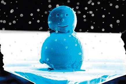 Honey, I Shrunk The Snowman