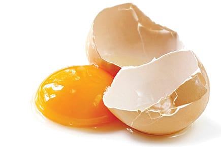 The Egg Antidote to Cobra Venom