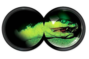 In Search of the Snake Demon