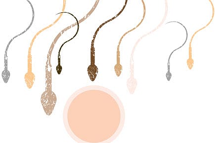 I lied to a patient’s husband about her pregnancy, saving their marriage. Was I right?