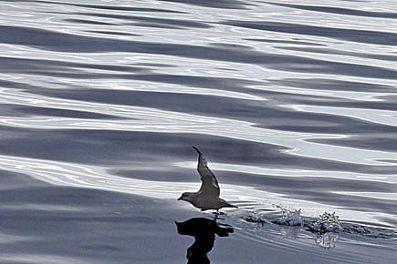 The World in his Sights