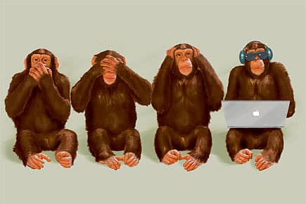 The World Wild Web